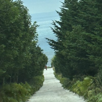 H_W_SA24's profile picture. R6.12よりライセンスフリー(DCRのみ)やってます。まだまだ初心者です。。。よろしくお願いします。無言フォロー失礼します。