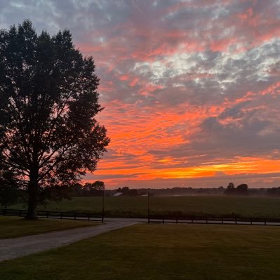 kcampbell1978's profile picture. 