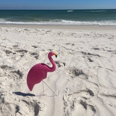 Ali_LilBit's profile picture. 