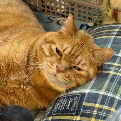 ado_so624's profile picture. n野高専 2IE