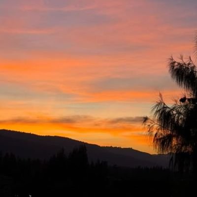 Abida713's profile picture. 