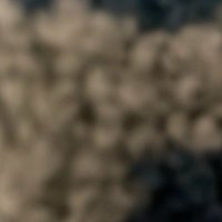 blz (@rntfx2021) 's Twitter Profile