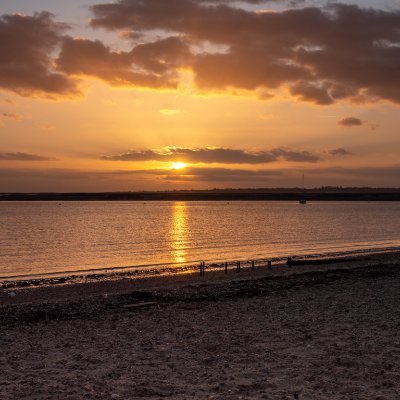 MHDigital's profile picture. Artist 👩‍🎨 and photographer 📸