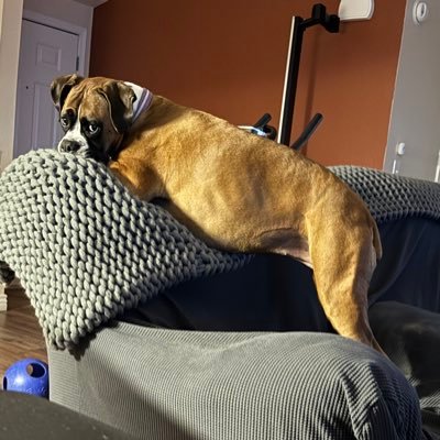 Baronessbo40129's profile picture. 👑 NO DM’S