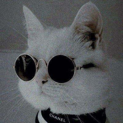 Jarvisgotcooks's profile picture. 