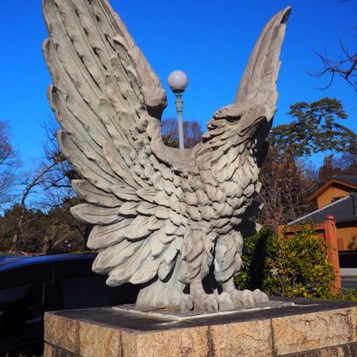 taihaishiteruzo's profile picture. 