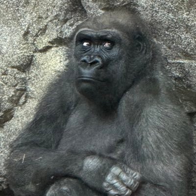 c_mercc's profile picture. Don’t take me seriously