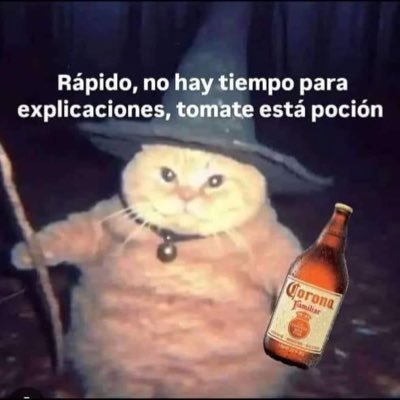 SrInversionist1's profile picture. Crypto fanatic since ‘16 | $XTR Core | always a degen | algún día haré a mi perro Copo un meme | The Ledger Book 📕 | #BRIDGE2XRPL