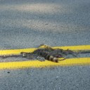 Jonathan Lunn - @chicagolandad - Twitter