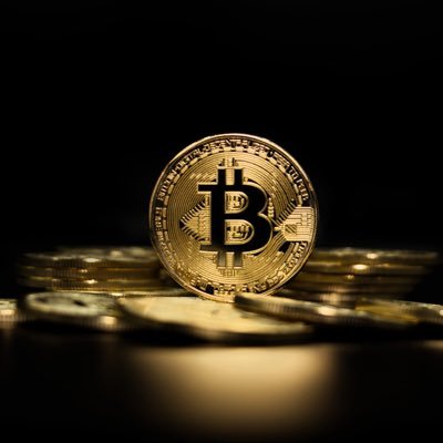 CrypBosy's profile picture. Be your own boss