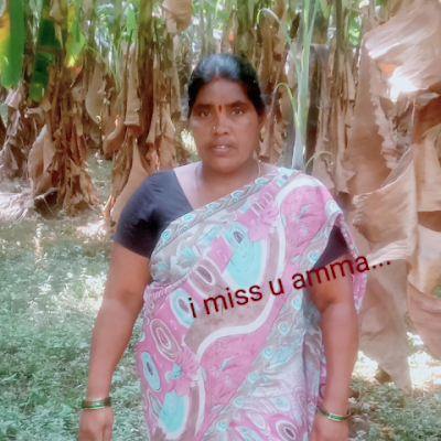AmmaYou38167's profile picture.