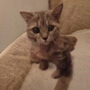 Casey - @Casey_go_wo - Twitter