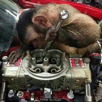 VictorReyes (@victor18reyes) 's Twitter Profile Photo VictorReyes (@victor18reyes) 's Twitter Profile Photo