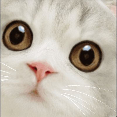 NAa0814__'s profile picture. ときメモGSのために生きている
ニーナがいちばんらぶ
済　　04