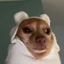 sorryjeen (@ssienfi) Twitter profile photo sorryjeen (@ssienfi) Twitter profile photo