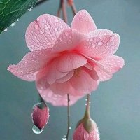 Muslahaddin Altındal (@ndal_alt98817) Twitter profile photo