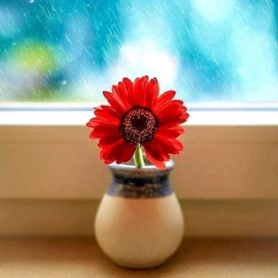 rsaorin_'s profile picture. 