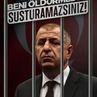 IstanbulTamer's profile picture. 