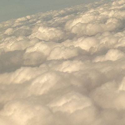 PolskaEngineer's profile picture. 