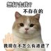圆圆 (@yuanyuansp) Twitter profile photo 圆圆 (@yuanyuansp) Twitter profile photo