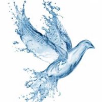 Ursula (@ursulazchoice) 's Twitter Profile Photo