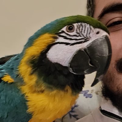 ByMora4's profile picture. kripto Analiz doktoru..