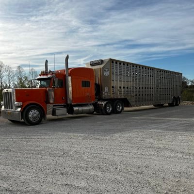 AmericaDue's profile picture. Truck driver, conservative. You know a good guy. Lol