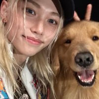 golden retriever (@felixleefelix11) 's Twitter Profile Photo golden retriever (@felixleefelix11) 's Twitter Profile Photo