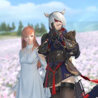 さば🐟@イフ (@saba_ff14) 's Twitter Profile