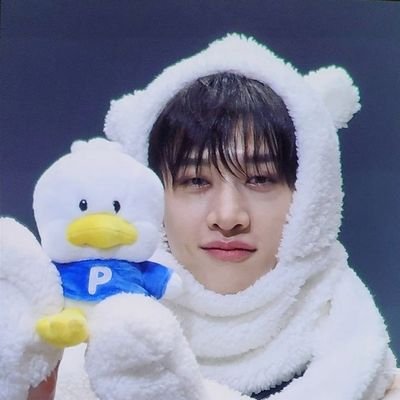 BLEH 👹 skz & p1h 🫶 normal about bang chan ☺️ seeing skz 💥