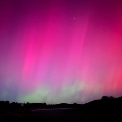 aspentree101's profile picture. 