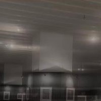 manusia biasa (@hdyannnnnn) 's Twitter Profile Photo