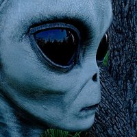 Christopher420 (@fkjoe420) 's Twitter Profile