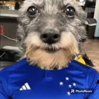 juninCEC (@junin2ponto0) 's Twitter Profile Photo juninCEC (@junin2ponto0) 's Twitter Profile Photo