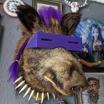 ninhote's profile picture. COWABUNGA!
