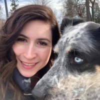 Glenda Johnson (@glendajohn426) 's Twitter Profile