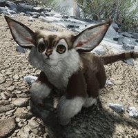 stravinsky's strongest timpanist (@rocidrums) 's Twitter Profile