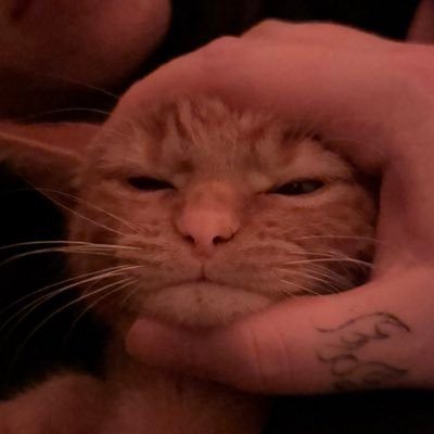 colissimon's profile picture. 🔮