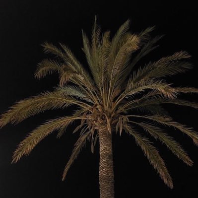 مصممة للتواصل خاص ❤