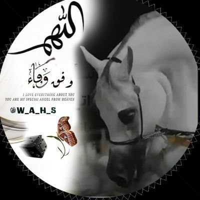 صاحبة الالف تويتة باليوم 😏
ان كُسرت 💔فلا تبالي وفاء فالله يجبر القلوب ❤ الحساب التاني ✌️