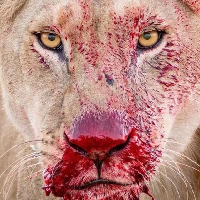 EgahiAdejor's profile picture. Devotion to family is an essential virtue