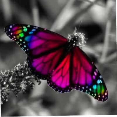 BlueSky85219044's profile picture. No discutas…sobre Verdades… con …adictos a las Mentiras …