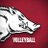 Razorback Volleyball