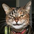 Sipp047's profile picture. 