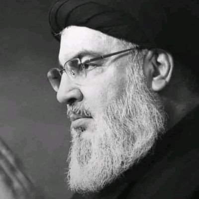 rasha_albadri's profile picture. 