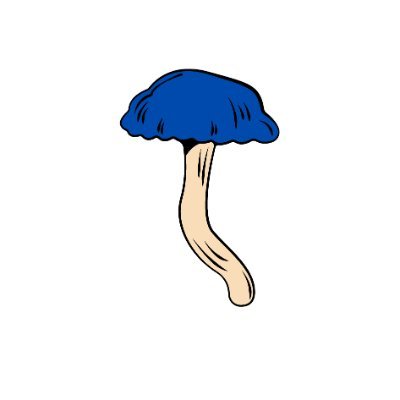VHenschel8280's profile picture. on fire meme coin, air drop, futures, meteora.