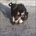 Sewta (@sewta_yco) Twitter profile photo Sewta (@sewta_yco) Twitter profile photo
