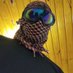 ๐๐ฝ๐ฝ (@benube_) Twitter profile photo ๐๐ฝ๐ฝ (@benube_) Twitter profile photo