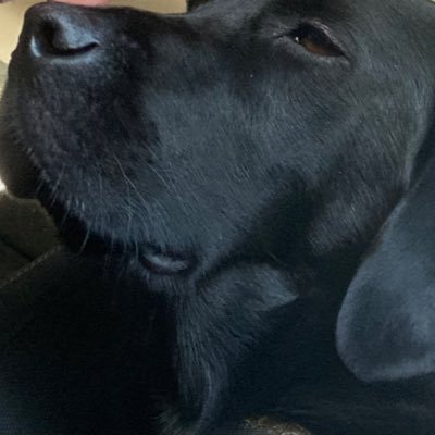 vinnymac987's profile picture. 