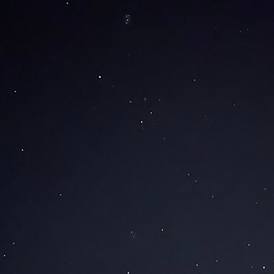 spinet108's profile picture. 成人済みです！！